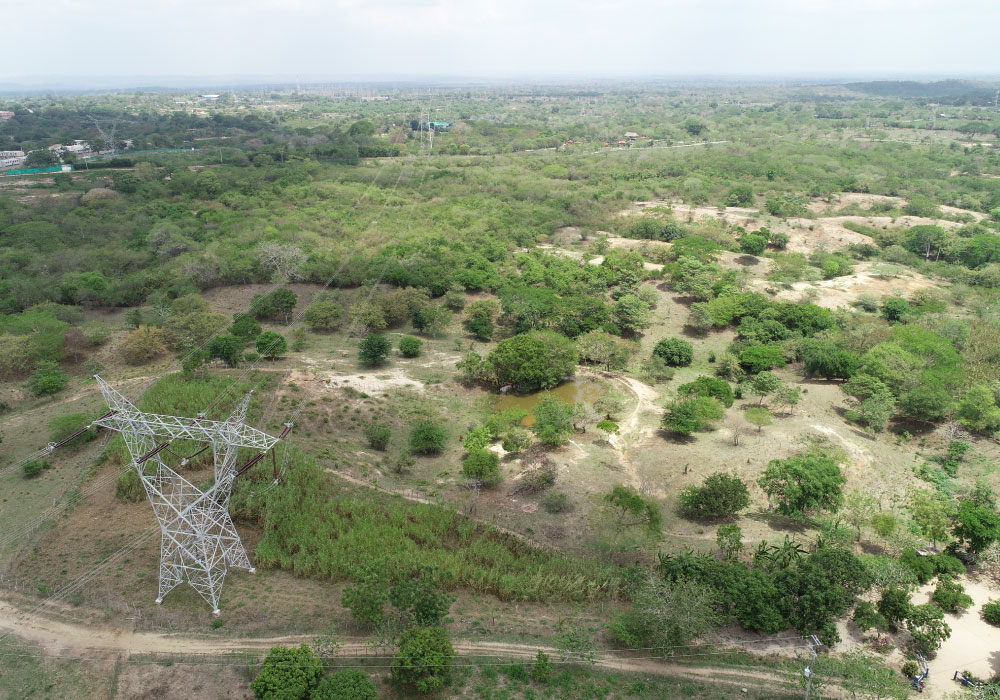Identificación de Inmuebles y/o Franjas Requeridas (Servidumbres)